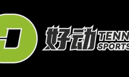 爱游戏体育-10年前我们熟悉的名字，正在一个又一个离开网球场
